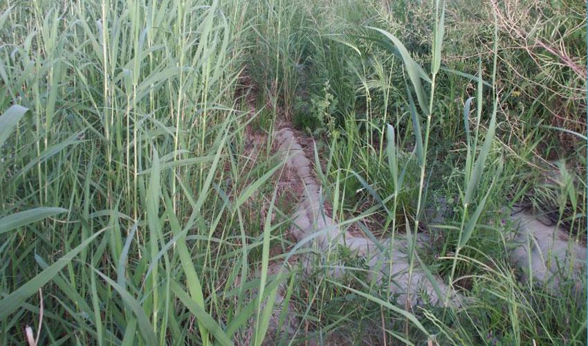 em-stormwater-channel-protection-PICT0006small_0