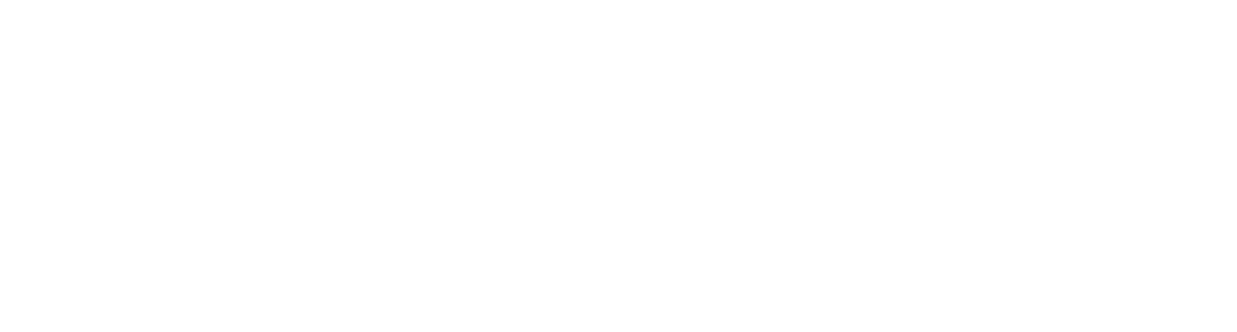 Synthetex logo 2022 WHITE