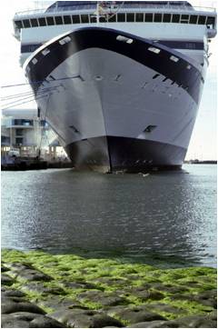 Port-Image-1-Port-Canaveral-3 (1)