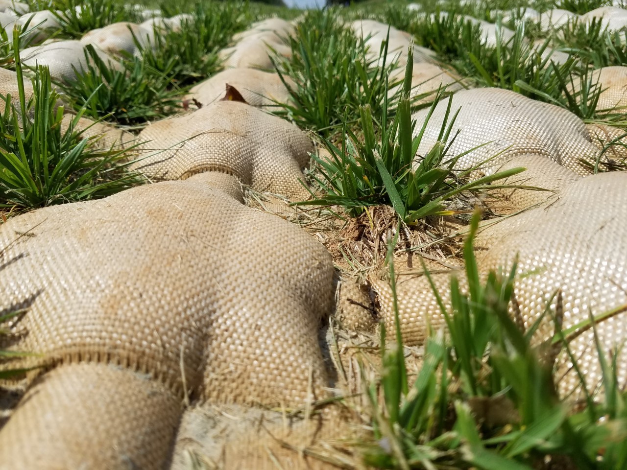 enviromat-fx-2-1 Enviromat in use with vegetation growing out of it