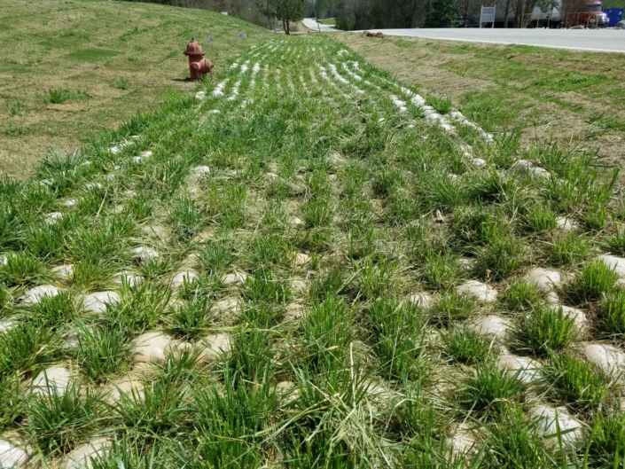 enviromat-fx-4-1-705×529 Second angle of enviromat ditch erosion control